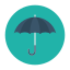 Umbrella