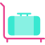 Luggage