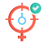 Feminism