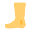 Foot