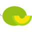 Melon