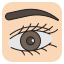 Eye