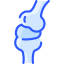 Joint