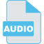 Audio
