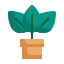 Leaves