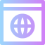 Browser