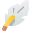 Feather