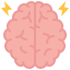 Brain