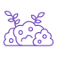 Bush
