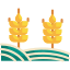 Fields