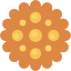 Cookie