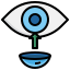Eye