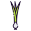 Spring onion