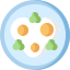 Fried eggs