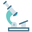 Lab