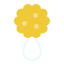 Sponge
