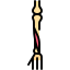 Extensor hallucis longus