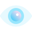 Eye