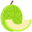 Melon