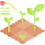 Field