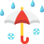 Umbrella