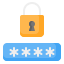 Password