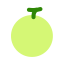 Melon