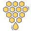 Honeycomb