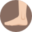 Foot