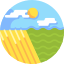 Field