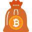 Bitcoin bag