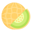 Melon