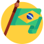 Brazil flag
