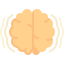 Brain
