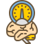 Brain