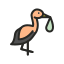 Stork