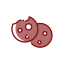 Biscuit