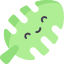 Monstera leaf