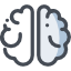 Brain