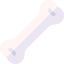 Bone