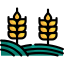 Fields