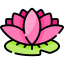 Lotus flower