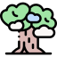 Baobab
