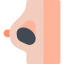 Breast
