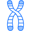 Chromosome
