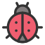 Bug
