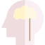 Brain