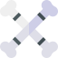 Bones