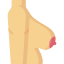 Breast