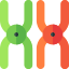 Chromosome